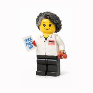 LEGO Minifigure Character Transformation